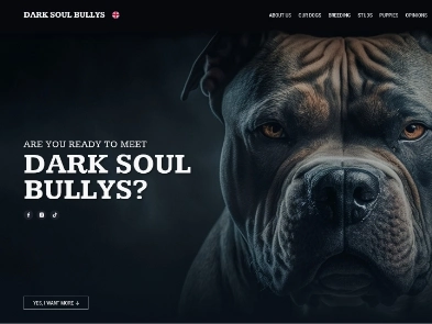 Projekt Landing Page - Dark Soul Bullys